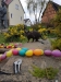 IMG-20190410-WA0005